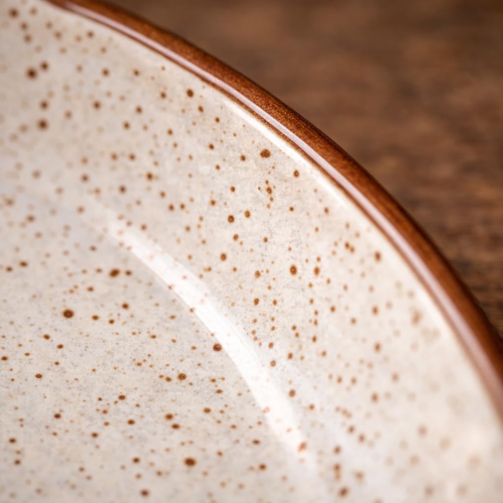 Kunhar Ceramic Dinner Plates 10 Inch Set of 2 | Rustic Ivory Speckled Finish | Premium Glazed Stoneware | Microwave & Dishwasher Safe | Serving Plates for Dinner, Pasta & Salad