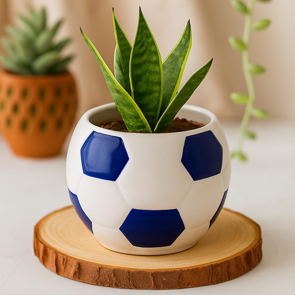 Kunhar Ceramic Football Planter, Football Shape Flower Pot, Without Plant, White Blue