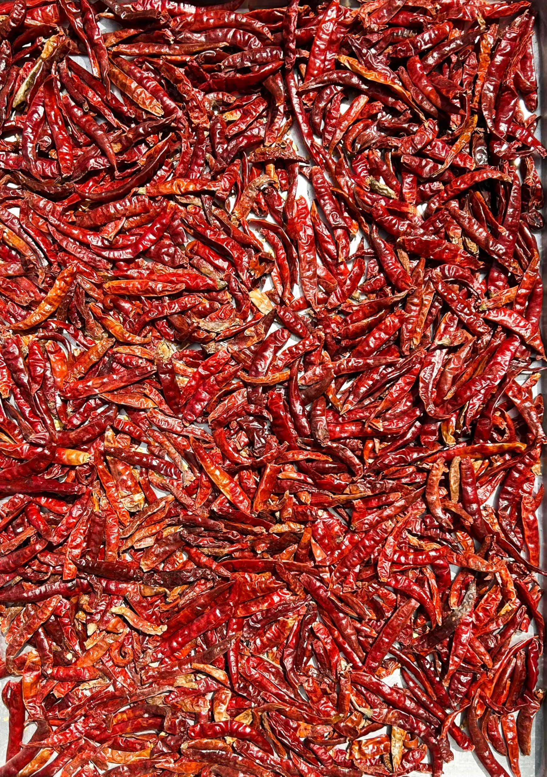 KunhaR Masala Extra Spicy Whole Red Chili – Sabut Teekhi Lal Mirch – (Pack of 1, 300g)